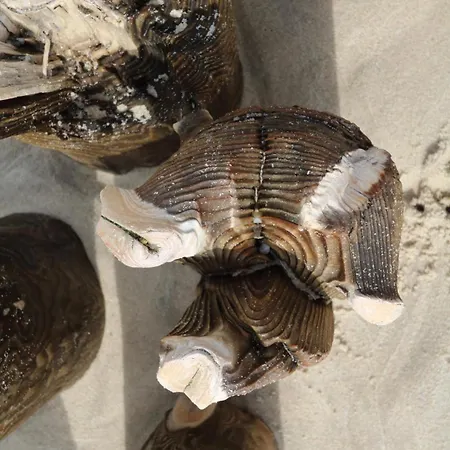 Haus Sylter Welle 6-60 Ob Apartmán Westerland